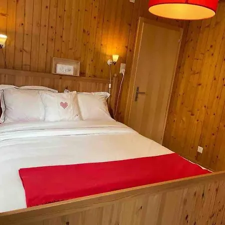 Apartment 2,5 Pieces Avec Jardin A 2 Pas Du Champex-Lac