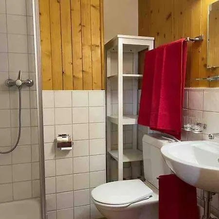 2,5 Pieces Avec Jardin A 2 Pas Du Apartment Champex-Lac